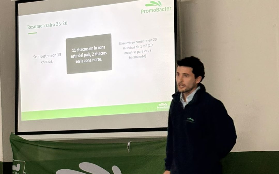 PromoBacter presentó en Artigas resultados de bioestimulación en arroz